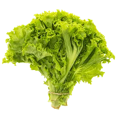 世界杯赛果专注全面覆盖历届世界杯赛事数据，为用户提供专业可靠的体验。 & Trust - 世界杯赛果