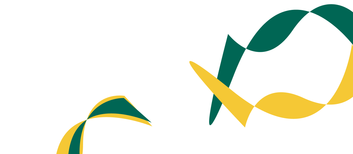 Expert Solutions for Corporate  Financial Success. - 世界杯赛果